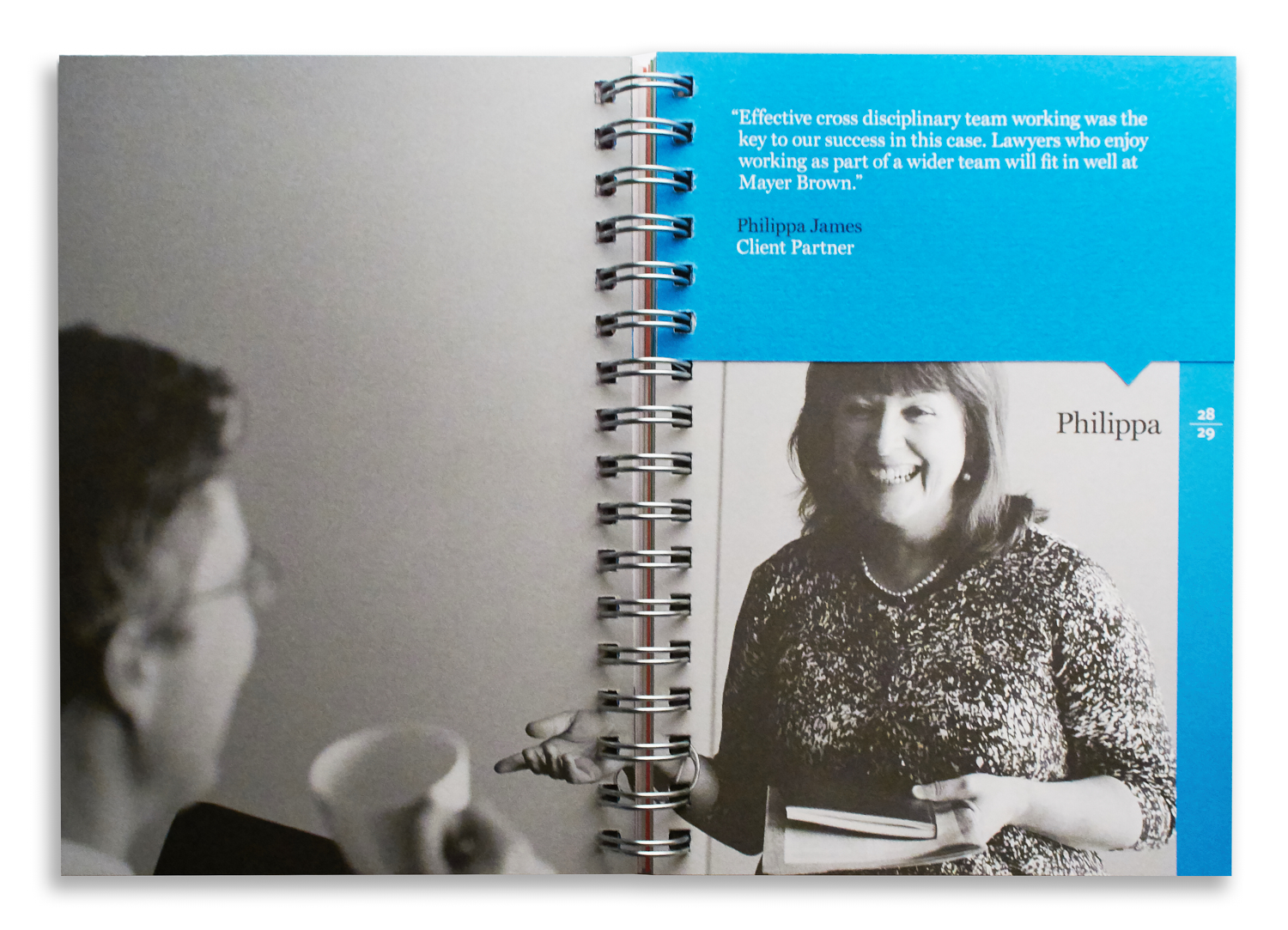 Brochure for Mayer Brown